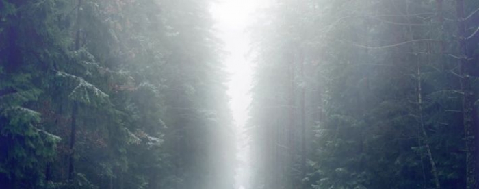 <b>ʮФذݣ˳</b>