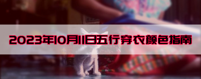 20231011дɫָ