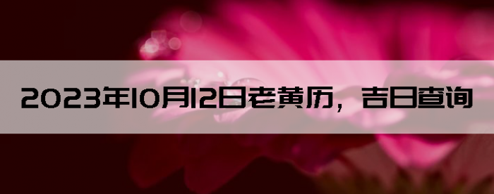 20231012ϻղѯ
