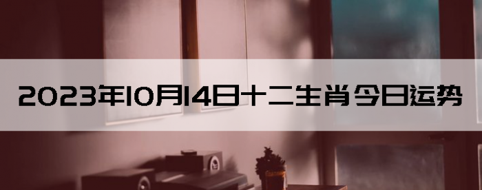 20231014ʮФ