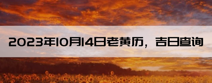 20231014ϻղѯ