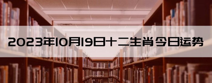20231019ʮФ