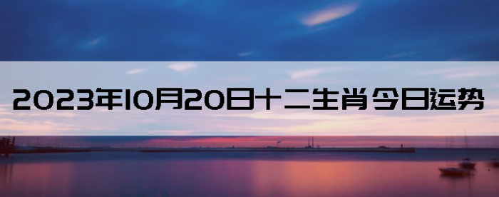 20231020ʮФ