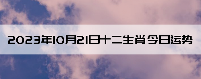 20231021ʮФ