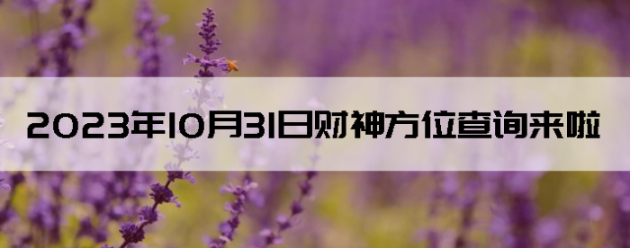 20231031ղλѯ