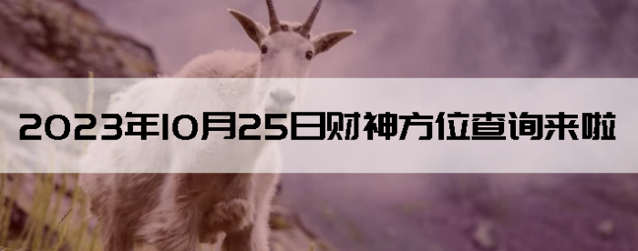20231025ղλѯ