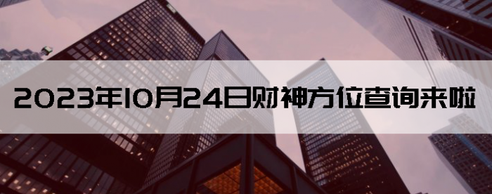 20231024ղλѯ