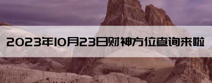 20231023ղλѯ