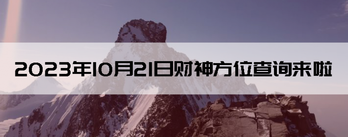 20231021ղλѯ