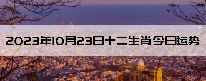 20231023ʮФ