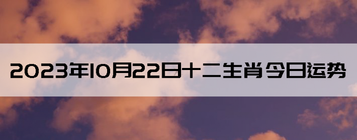 20231022ʮФ