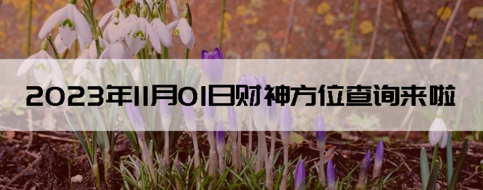 2023111ղλѯ