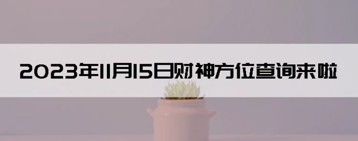 20231115ղλѯ