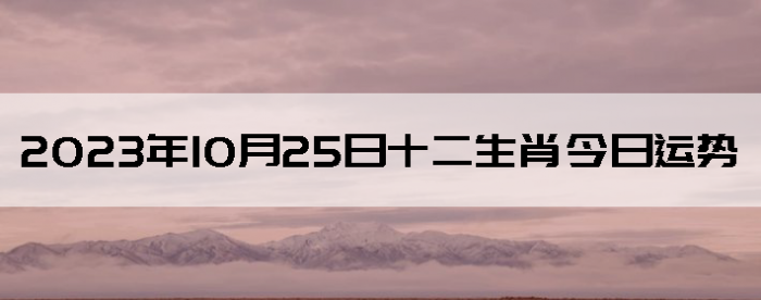 20231025ʮФ