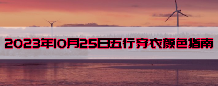20231025дɫָ