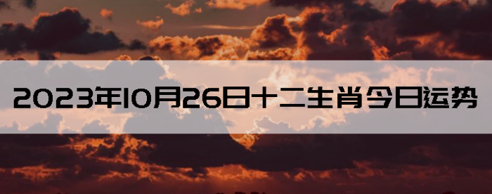 20231026ʮФ