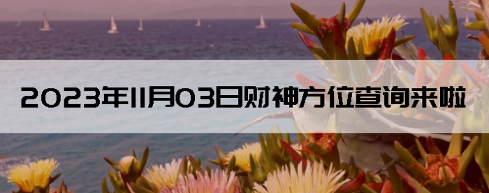 20231103ղλѯ