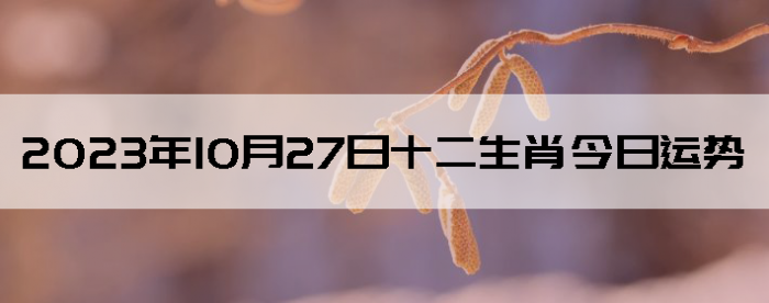 20231027ʮФ
