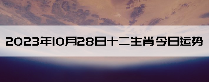 20231028ʮФ
