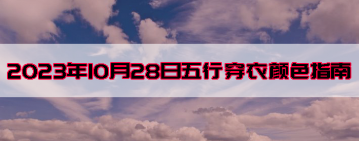 20231028дɫָ