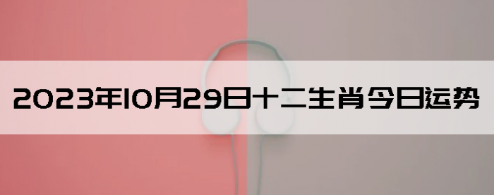 20231029ʮФ