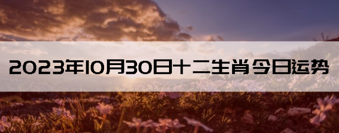20231030ʮФ
