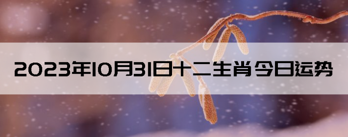 20231031ʮФ