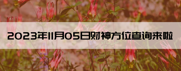 20231105ղλѯ