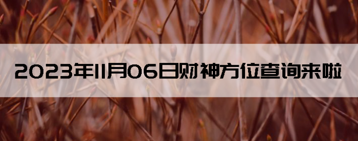 20231106ղλѯ