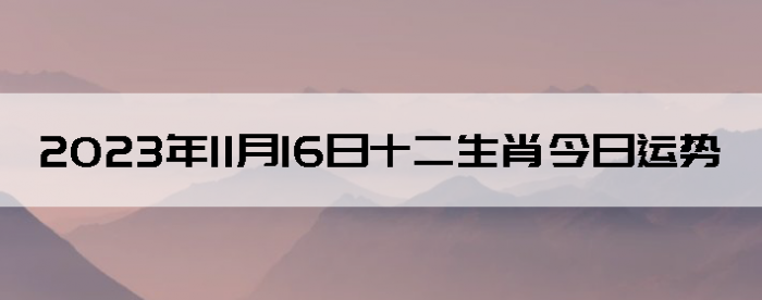 20231116ʮФ