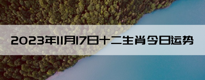 20231117ʮФ