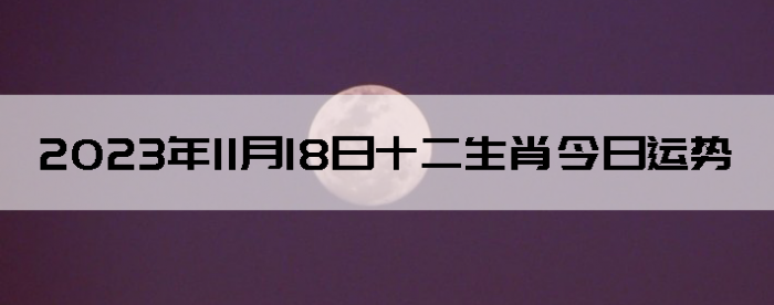 20231118ʮФ