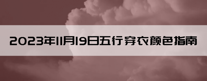 20231119дɫָ