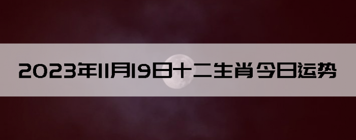 20231119ʮФ
