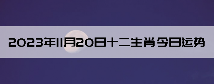 20231120֣ʿФ