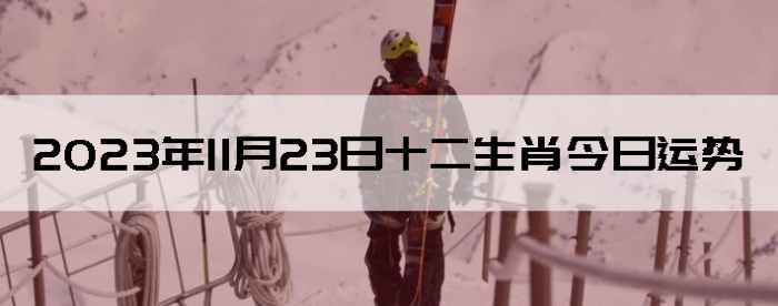 20231123֣ʿФ