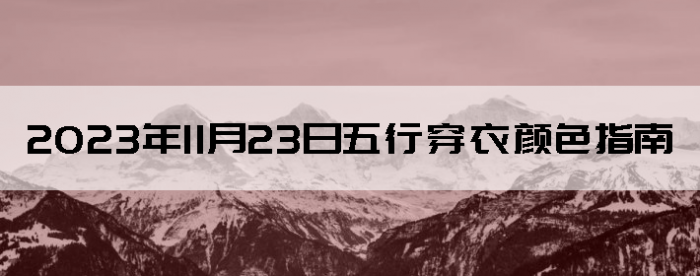 20231123дɫ