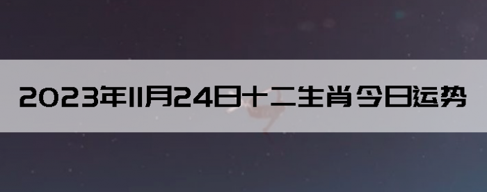 20231124ʮФ