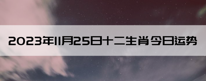 20231125ʮФ