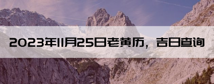20231125ϻղѯ