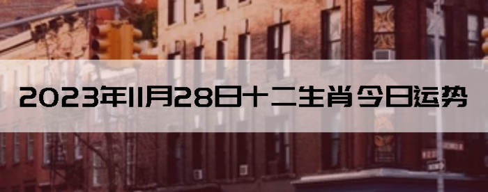 20231128ʮФ