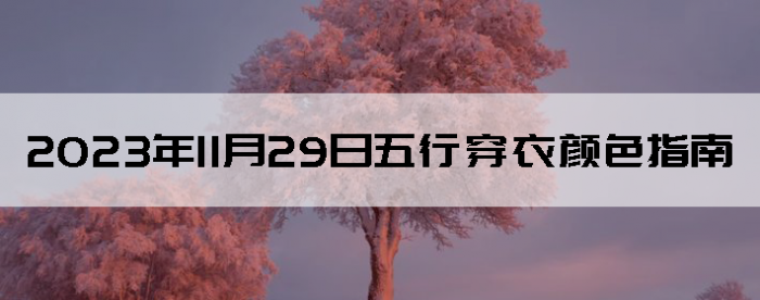 20231129дɫָ