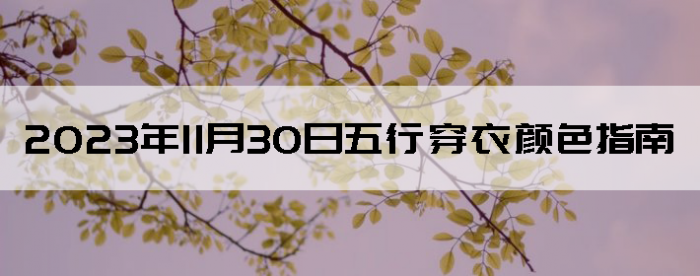 20231130дɫָ