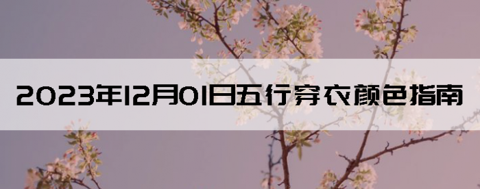 2023121дɫָ