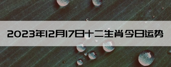20231217ʮФÿ