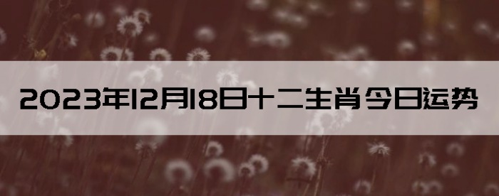 20231218ʮФ