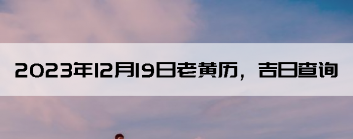 20231219ϻղѯ