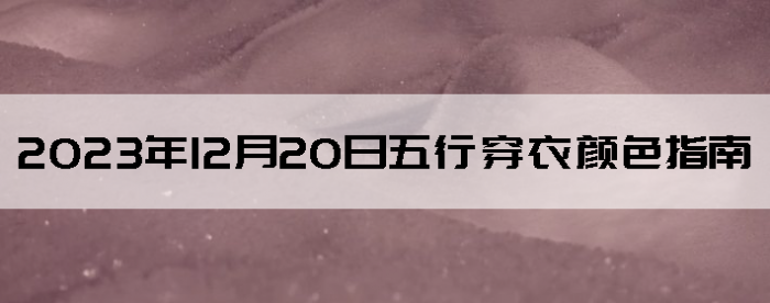 20231220дɫָ