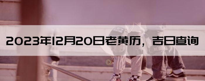 20231220ϻղѯ