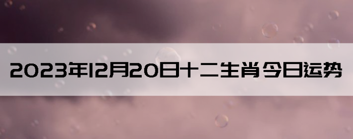 20231220ʮФÿ